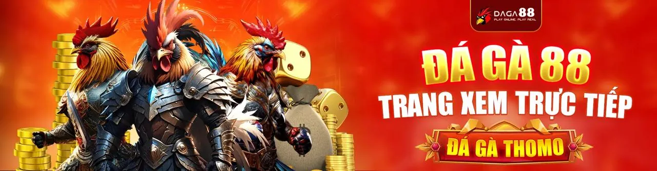 Đá gà trực tuyến N666, trận đấu kịch tính